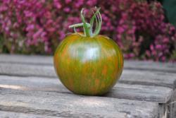 Pomidor  Coeur de supriz
