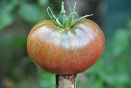 167/21 Black krim