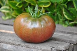 167/21 Black krim