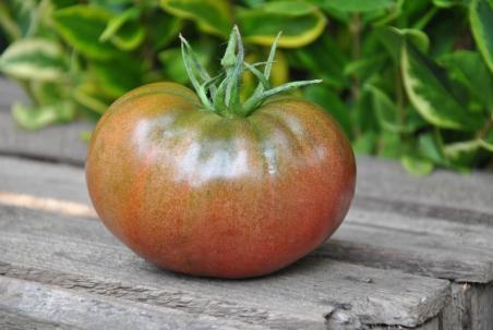 167/21 Black krim