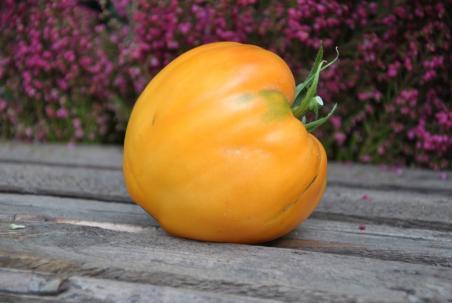 Pomidor German orange strawcerry serce