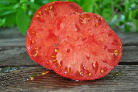 Pomidor Tiffen mennonite