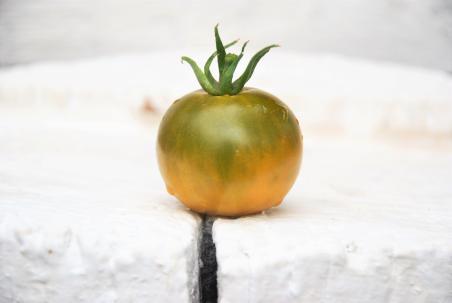 Pomidor Esmeralda golosina