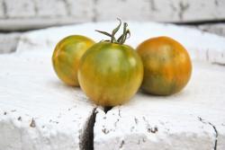 Pomidor Esmeralda golosina
