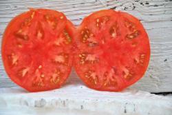 Pomidor Sweet scarlet