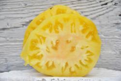Pomidor Great white beefsteak