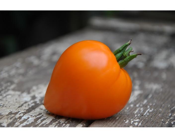 Pomidor Dwarf golden heart