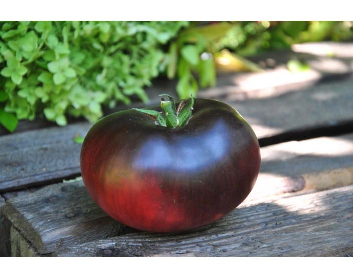 Pomidor Sofia's purple apple Pomidor Sofia's purple apple