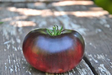Pomidor Sofia's purple apple