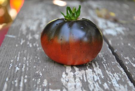 Pomidor  Trufa Azul