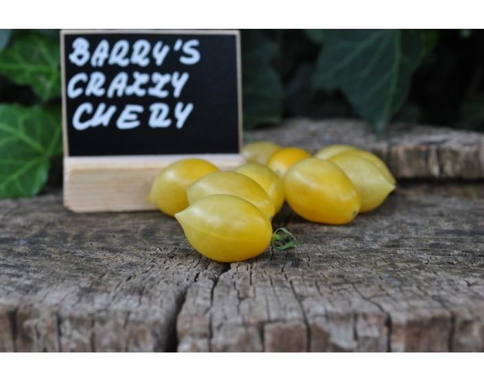 Pomidor Barry's crazy cherry