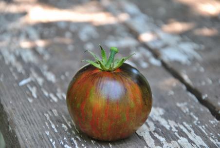 Pomidor Cosmic eclipse