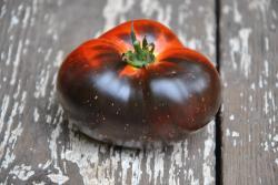 Pomidor  Dark galaxy