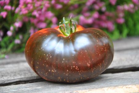 Pomidor  Dark galaxy