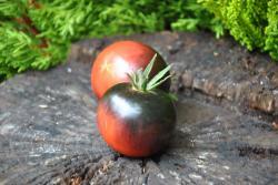 Pomidor Chesnut chocolate