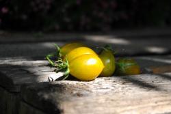Pomidor Ambers keyes