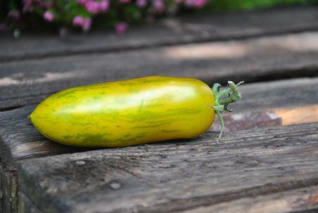 Pomidor Green sausage