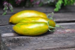Pomidor Green sausage