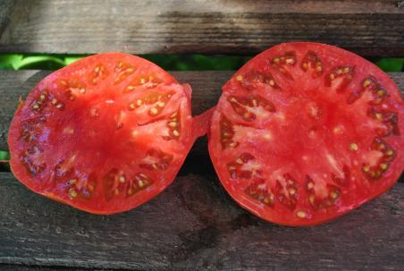 Pomidor  Italian giant