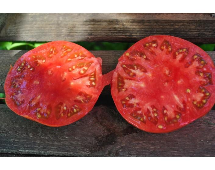 Pomidor  Italian giant