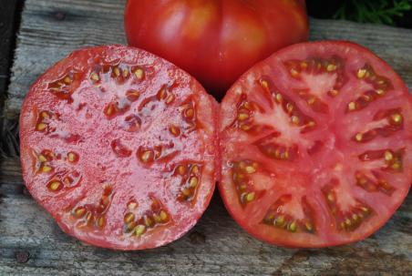Pomidor  Caspian pink malinowy