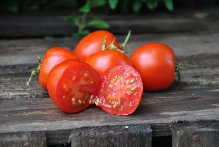 Pomidor Bloody Butcher wczesny 54 dni