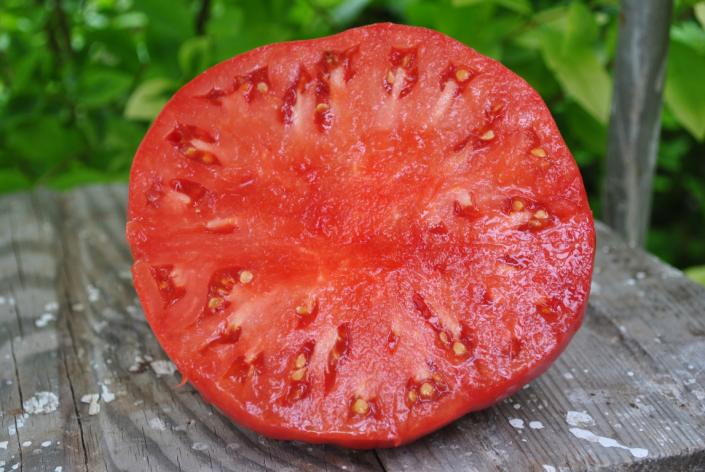 Pomidor Cleota pink
