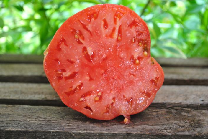 Pomidor Cleota pink