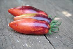 Pomidor Gourmet plum pink