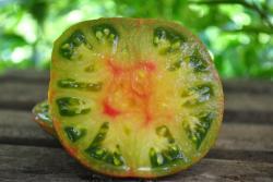 Pomidor Black Pineapple - Ananas Noire