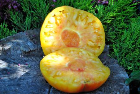 Pomidor Pineapple king