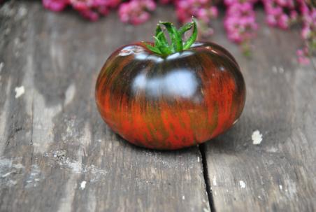 Pomidor Blue zebra