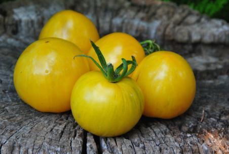 Pomidor Butter apple