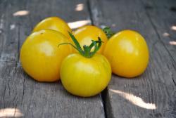Pomidor Butter apple
