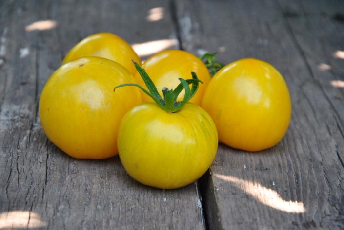 Pomidor Butter apple