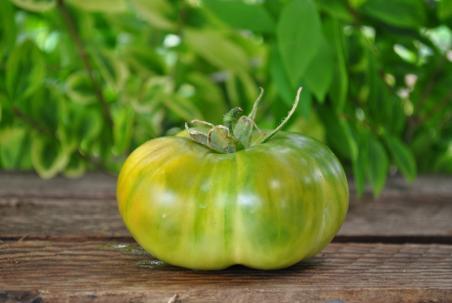 Pomidor Dwarf emerald city