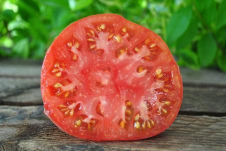 Pomidor Guido