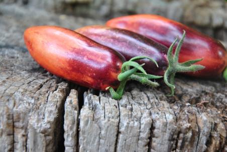 Pomidor Gourmet plum antho
