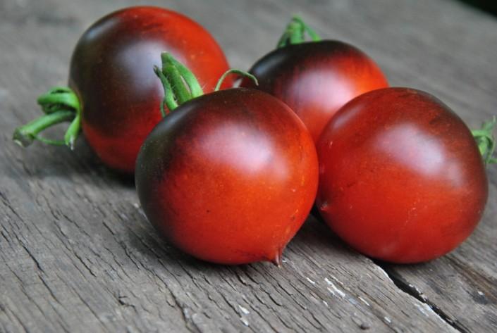 Pomidor H-34 rot Pomidor H-34 rot