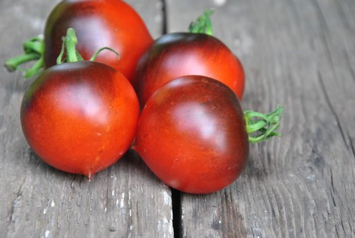 Pomidor H-34 rot Pomidor H-34 rot