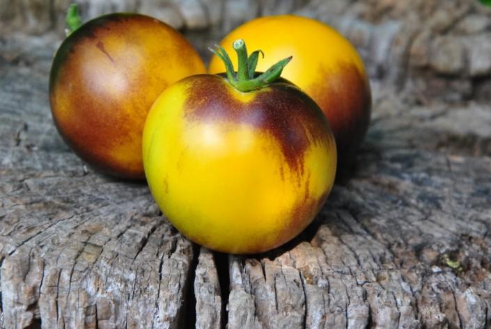 Pomidor Gondwana moon dwarf