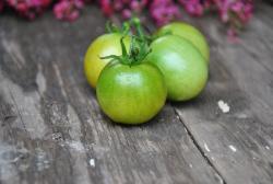 Pomidor dwarf beautiful ones