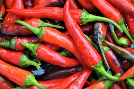 Papryka Long purple cayenne
