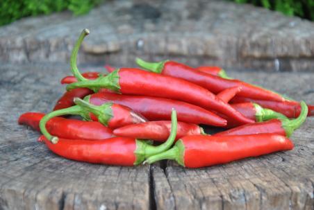 Papryka Long purple cayenne