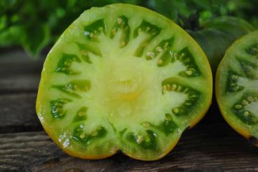 Pomidor Abraham green