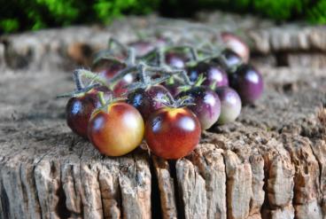 Pomidor amethyst cream