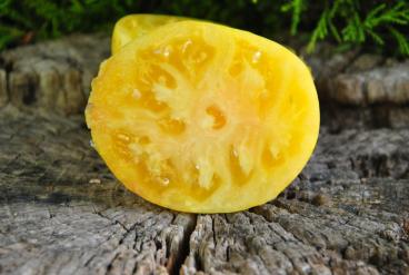 Pomidor „Pineapple Pig” (Brad Gates, USA)