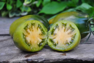 Pomidor Orekhovaya Sliva/ Orzechowa śliwka/ Nutty Plum