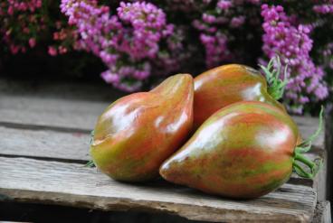 Pomidor Marmeladnoye Iskusheniye / Marmolada Pokusa
