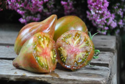 Pomidor Marmeladnoye Iskusheniye / Marmolada Pokusa